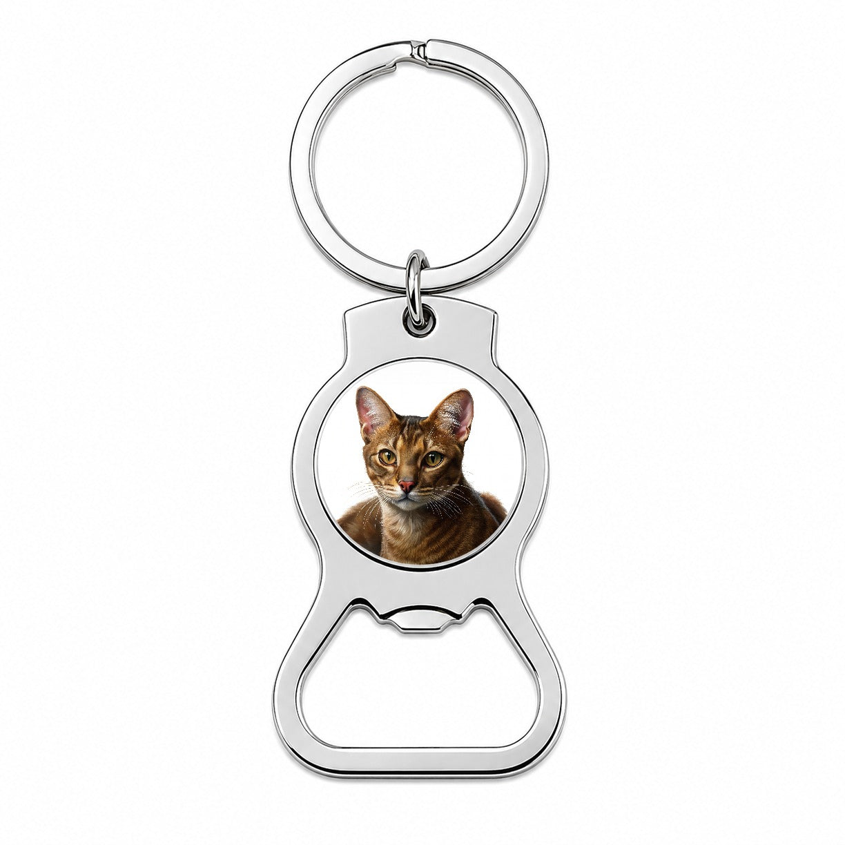 Havana Brown Cat Illustration Bottle Opener Keychain