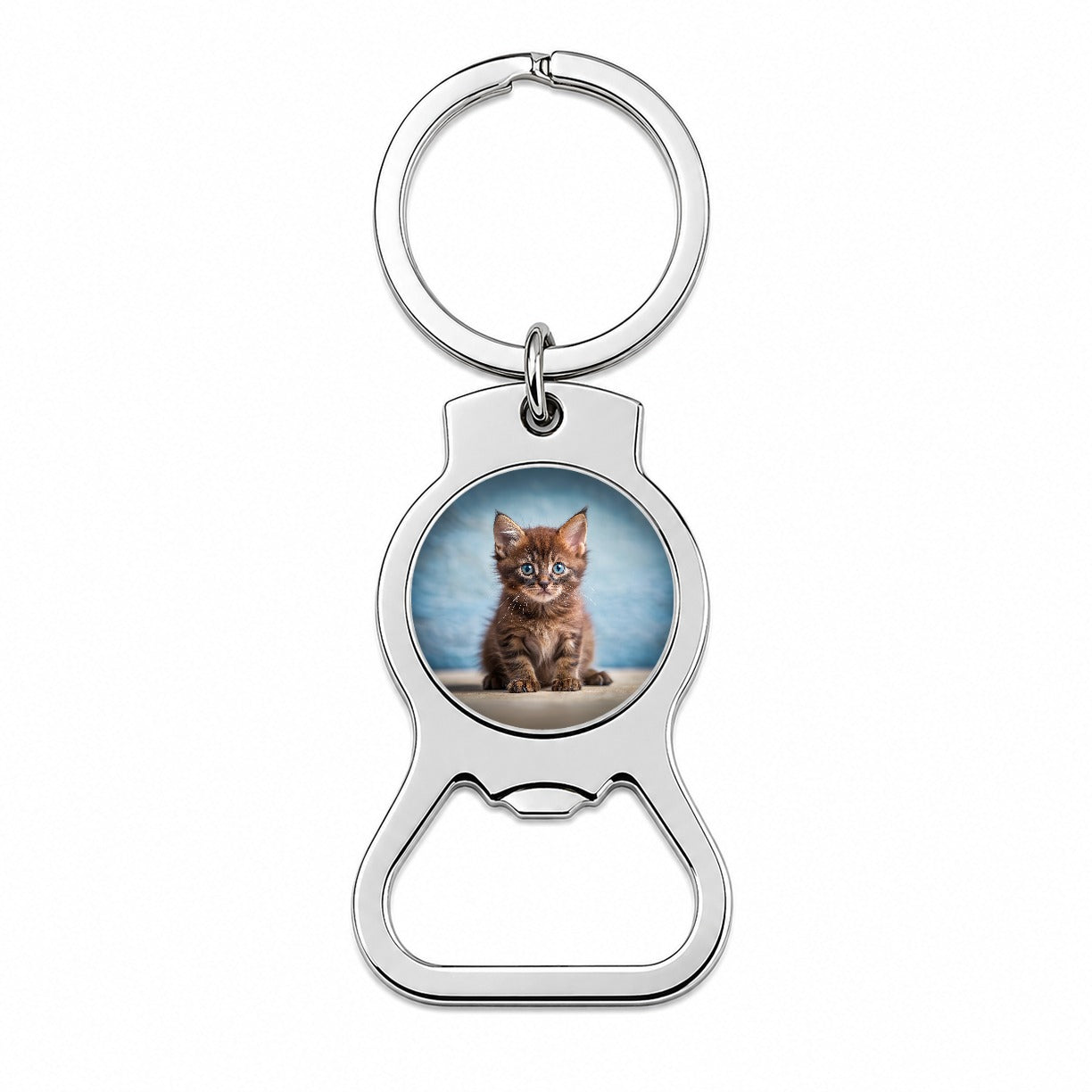 Havana Brown Cat Kitten Photo Bottle Opener Keychain