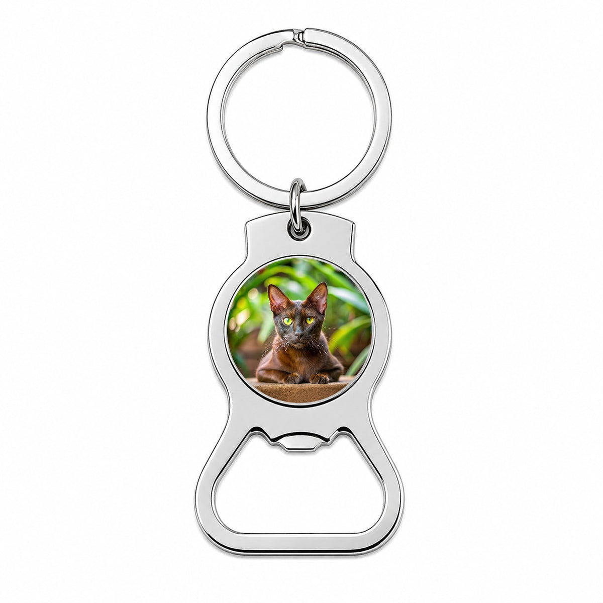 Havana Brown Cat Photo Bottle Opener Keychain