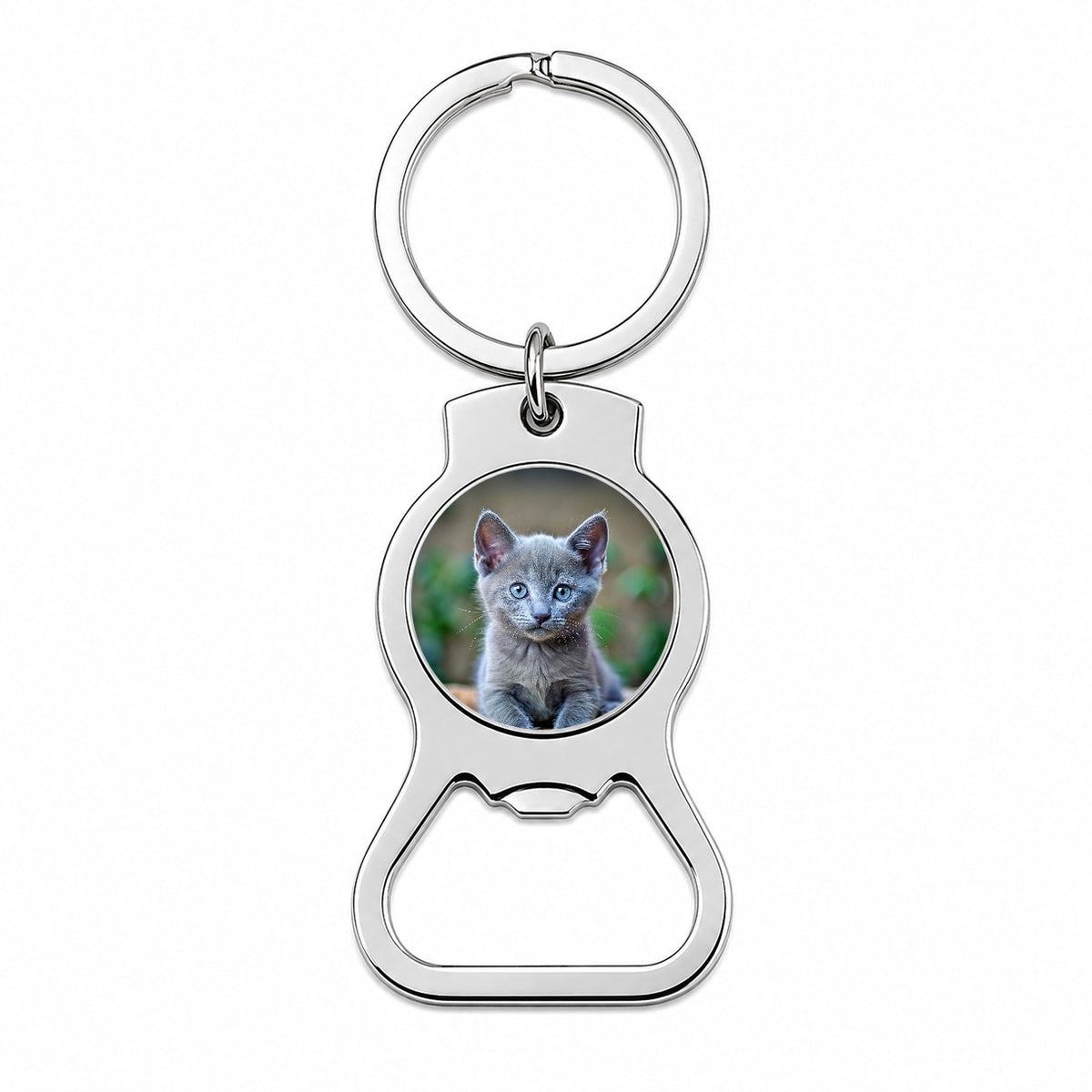 Russian Blue Cat Kitten Photo Bottle Opener Keychain