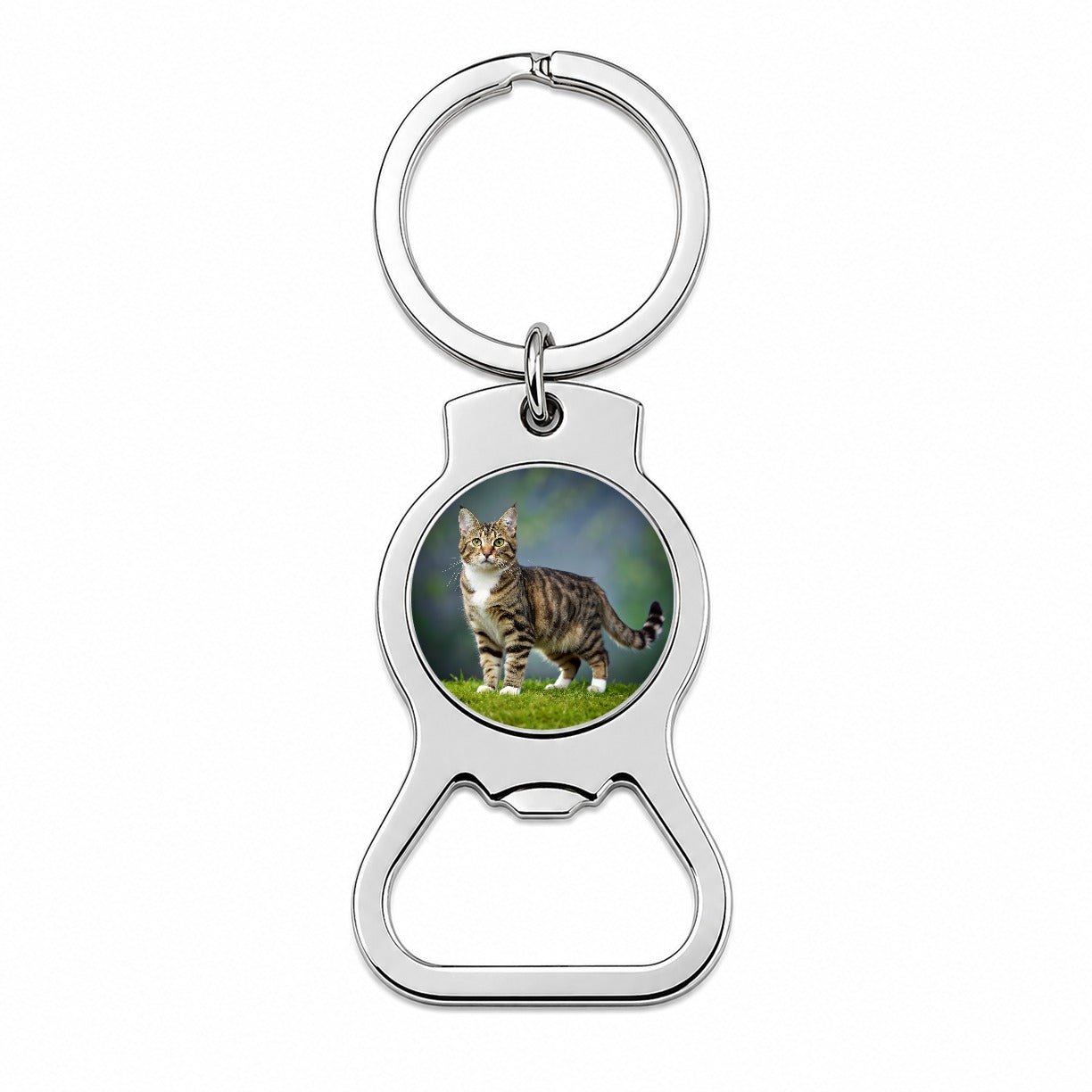 Cute Tabby Cat Photo Bottle Opener Keychain