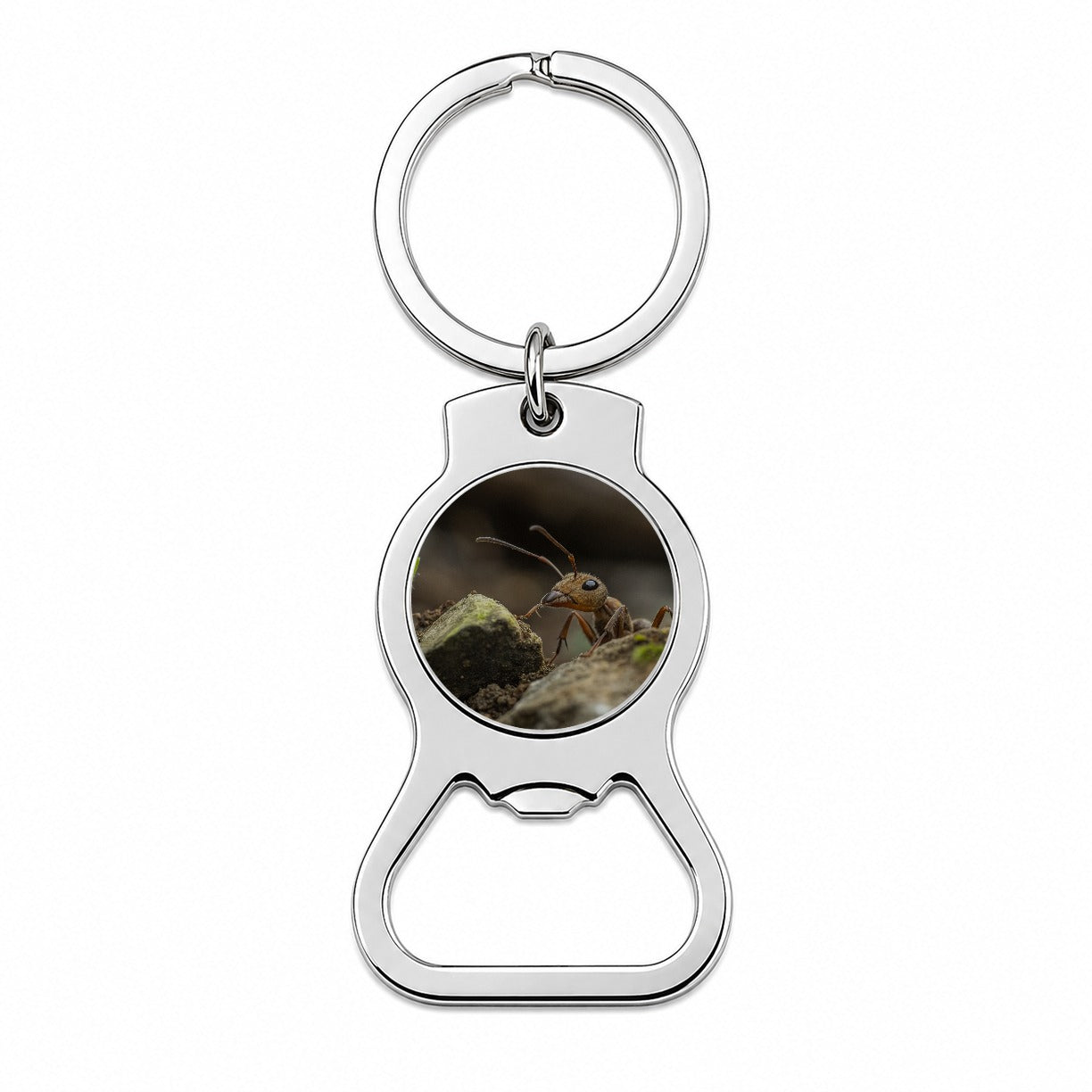 Ant Insect Nature Photo Bottle Opener Keychain