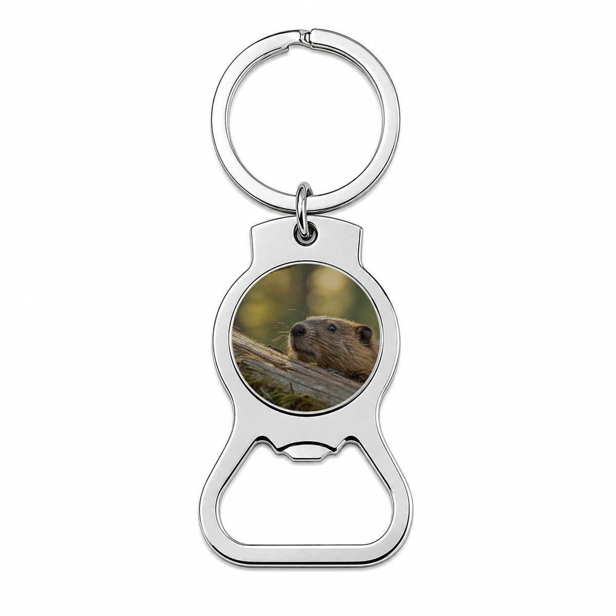 Curious Beaver Wildlife Nature Bottle Opener Keychain