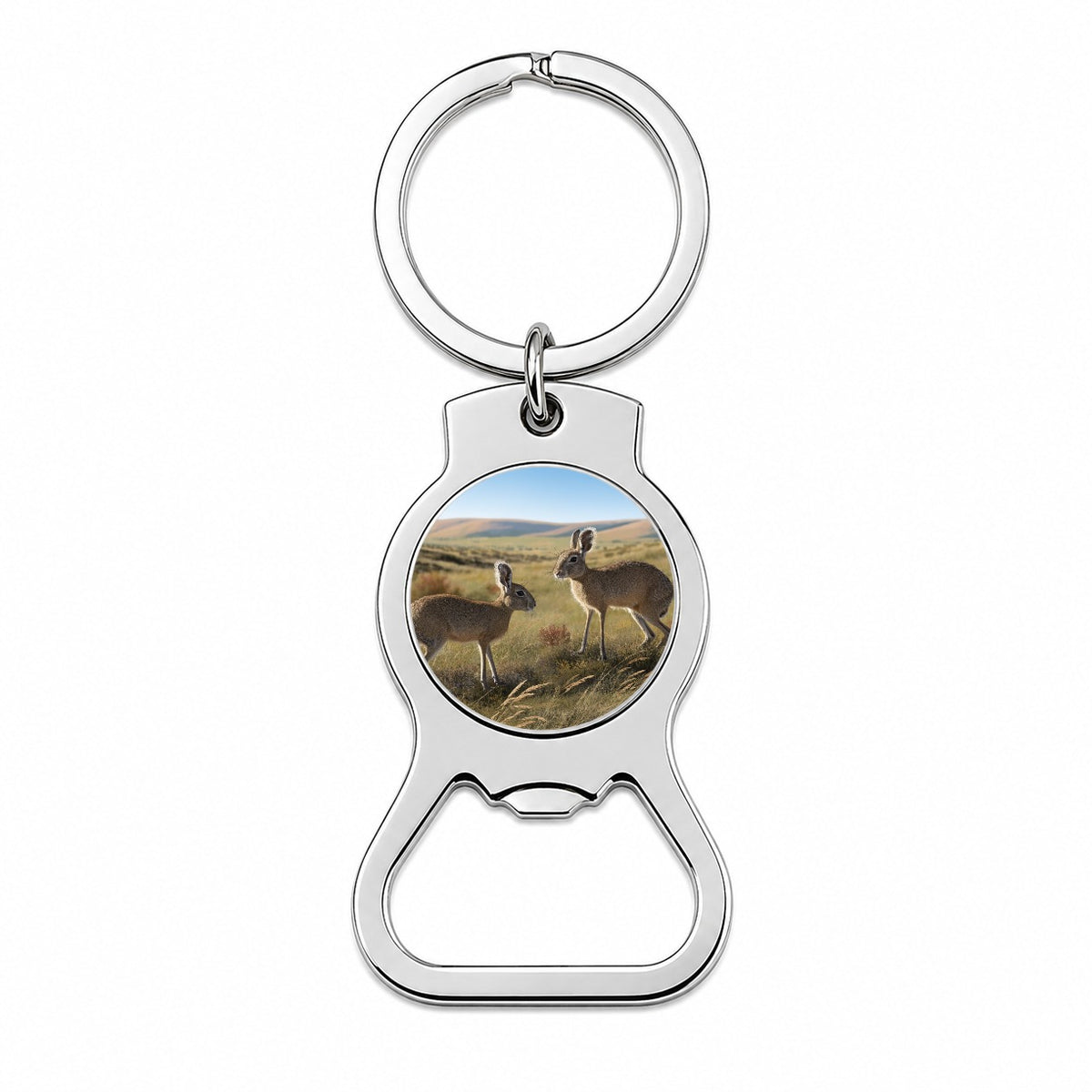 Patagonian Mara Grasslands Bottle Opener Keychain