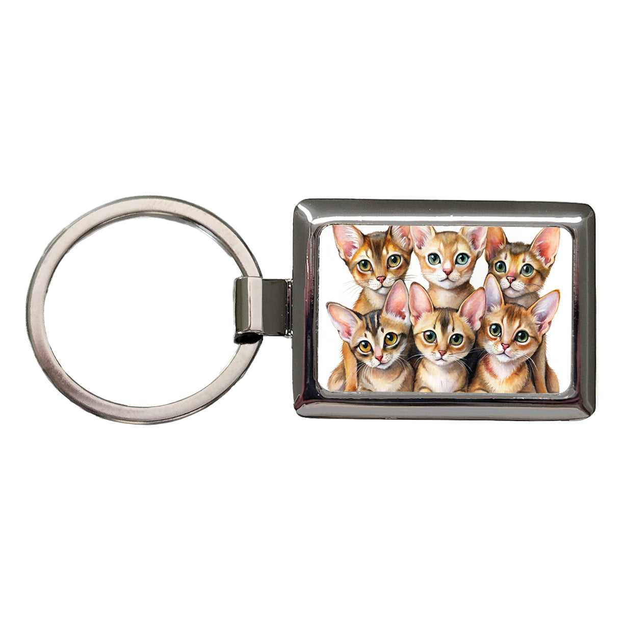 Sweet Abyssinian Cats Rectangle Metal Keychain