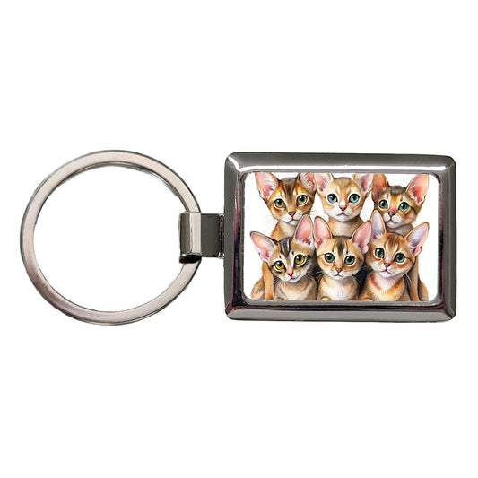 Sweet Abyssinian Cats Rectangle Metal Keychain
