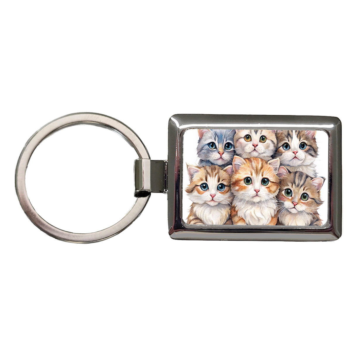 Sweet American Curl Cats Rectangle Metal Keychain