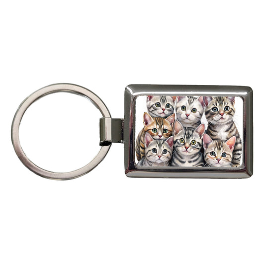 Sweet American Shorthair Cats Rectangle Metal Keychain