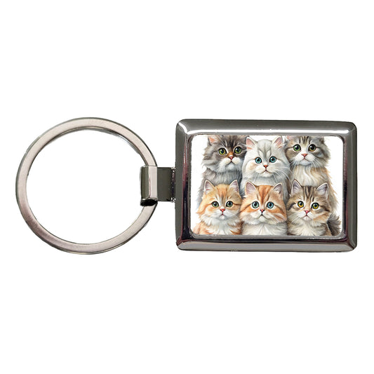 Sweet British Longhair Cats Rectangle Metal Keychain