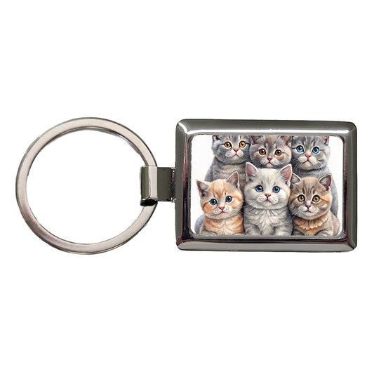 Sweet British Shorthair Cats Rectangle Metal Keychain