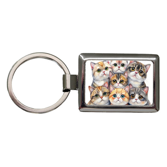 Sweet Exotic Shorthair Cats Rectangle Metal Keychain