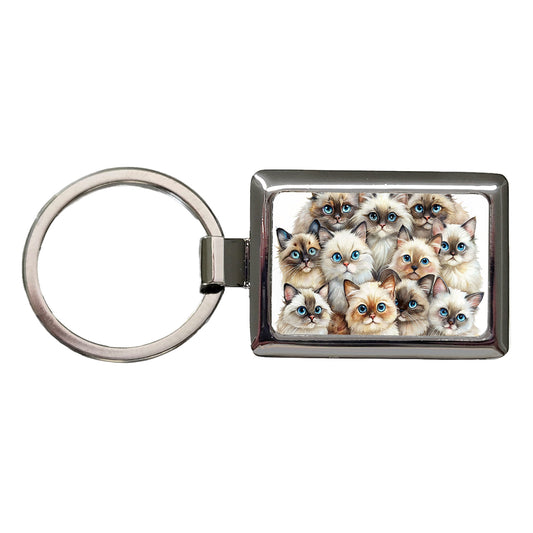 Sweet Himalayan Cats Rectangle Metal Keychain