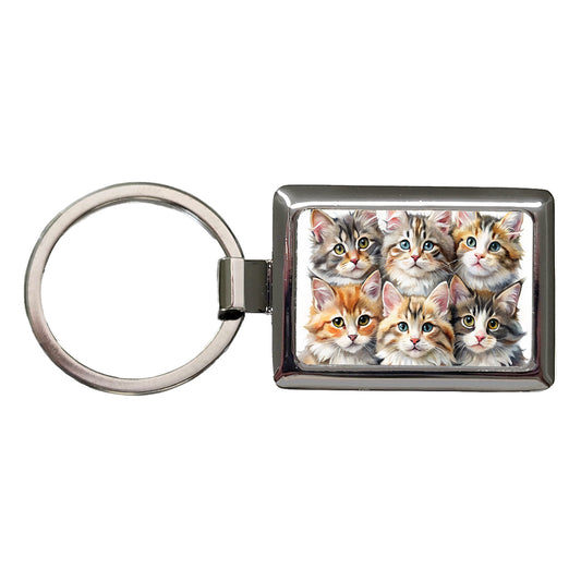 Sweet Maine Coon Cats Rectangle Metal Keychain