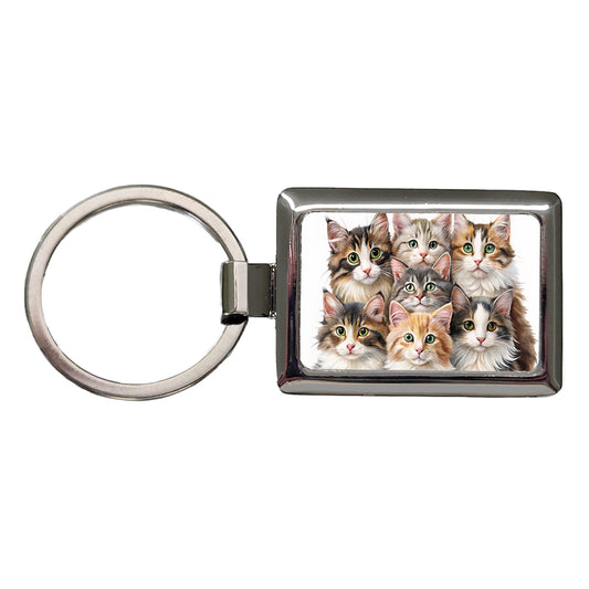 Sweet Norwegian Forest Cats Rectangle Metal Keychain