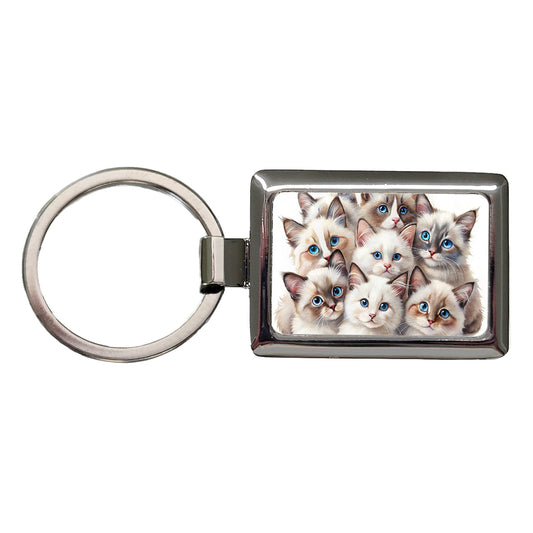 Sweet Ragdoll Cats Rectangle Metal Keychain