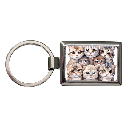 Sweet Scottish Fold Cats Rectangle Metal Keychain