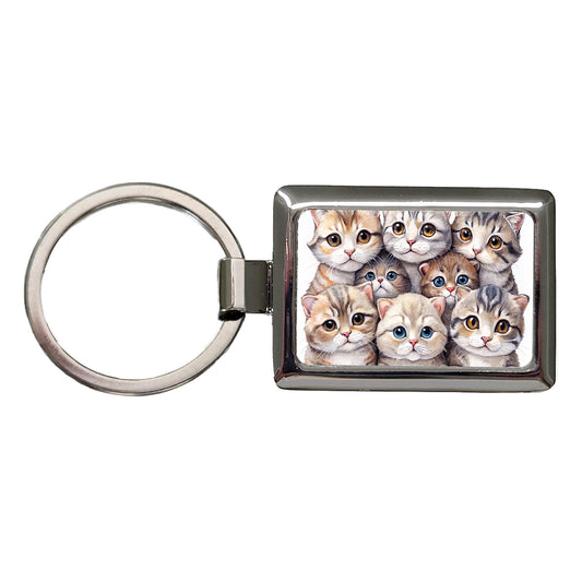 Sweet Scottish Fold Cats Rectangle Metal Keychain