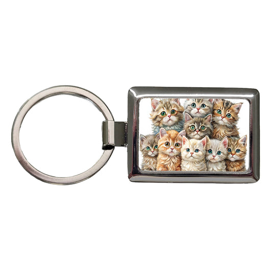 Sweet Selkirk Rex Cats Rectangle Metal Keychain