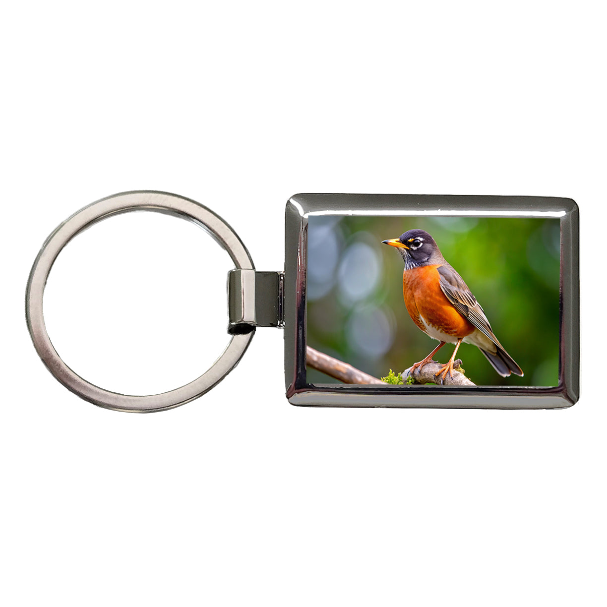American Robin Backyard Bird Rectangle Metal Keychain