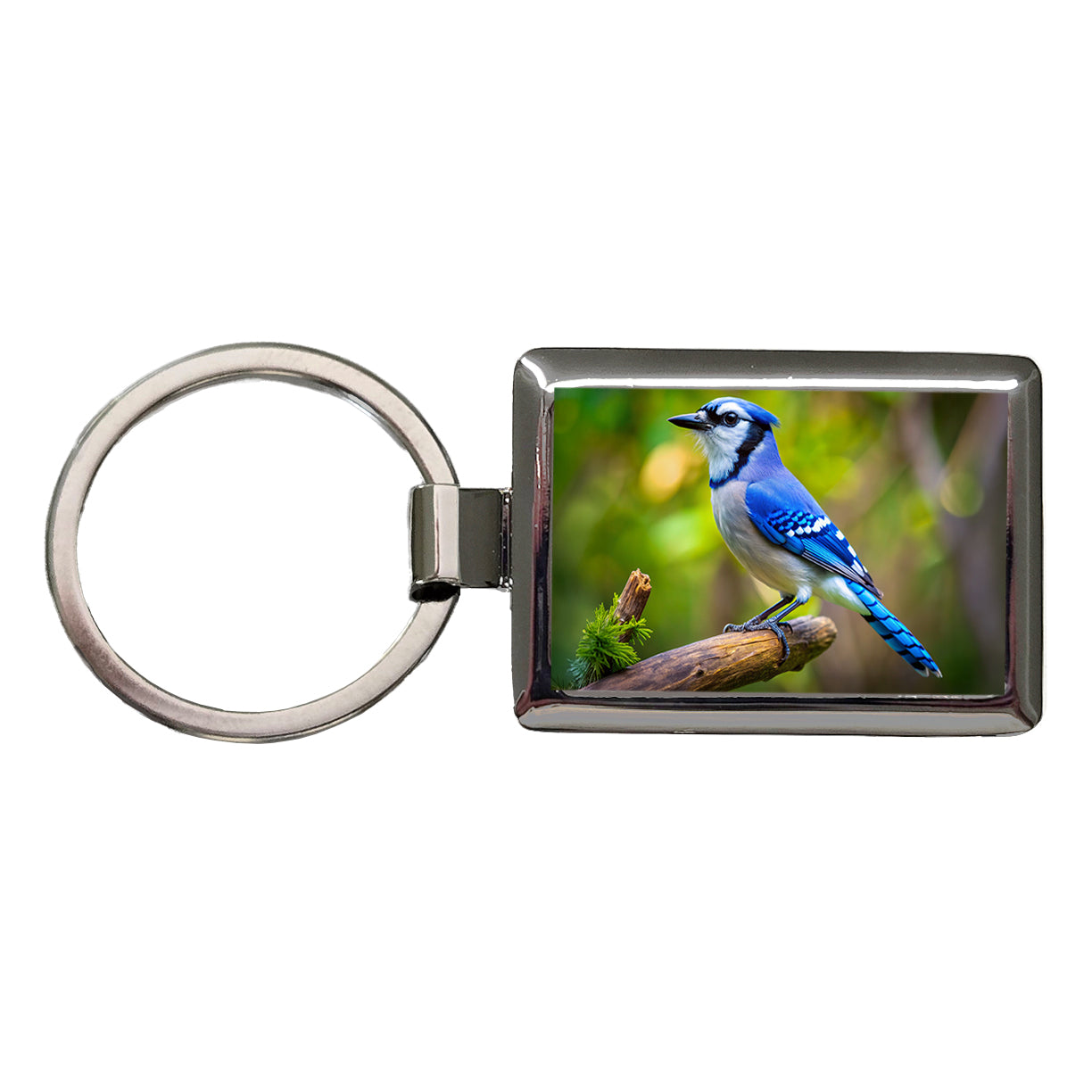 Blue Jay Backyard Bird Rectangle Metal Keychain