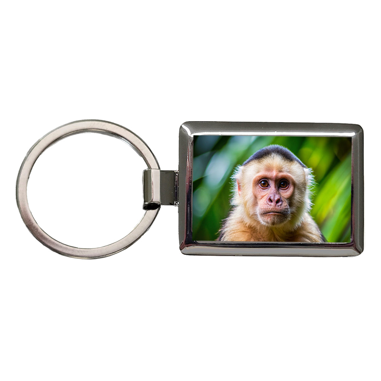 Capuchin Monkey Rectangle Metal Keychain