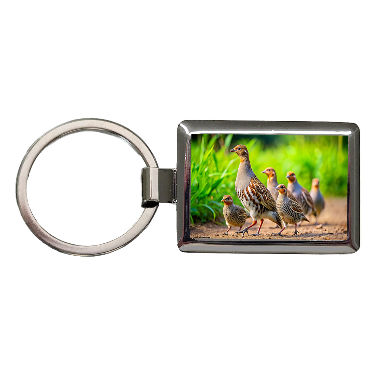 Family Of Partridge Birds Rectangle Metal Keychain