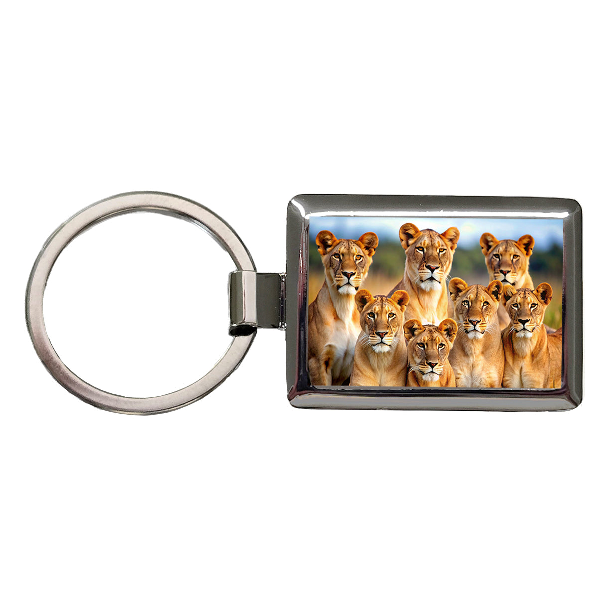 Female Lions Rectangle Metal Keychain