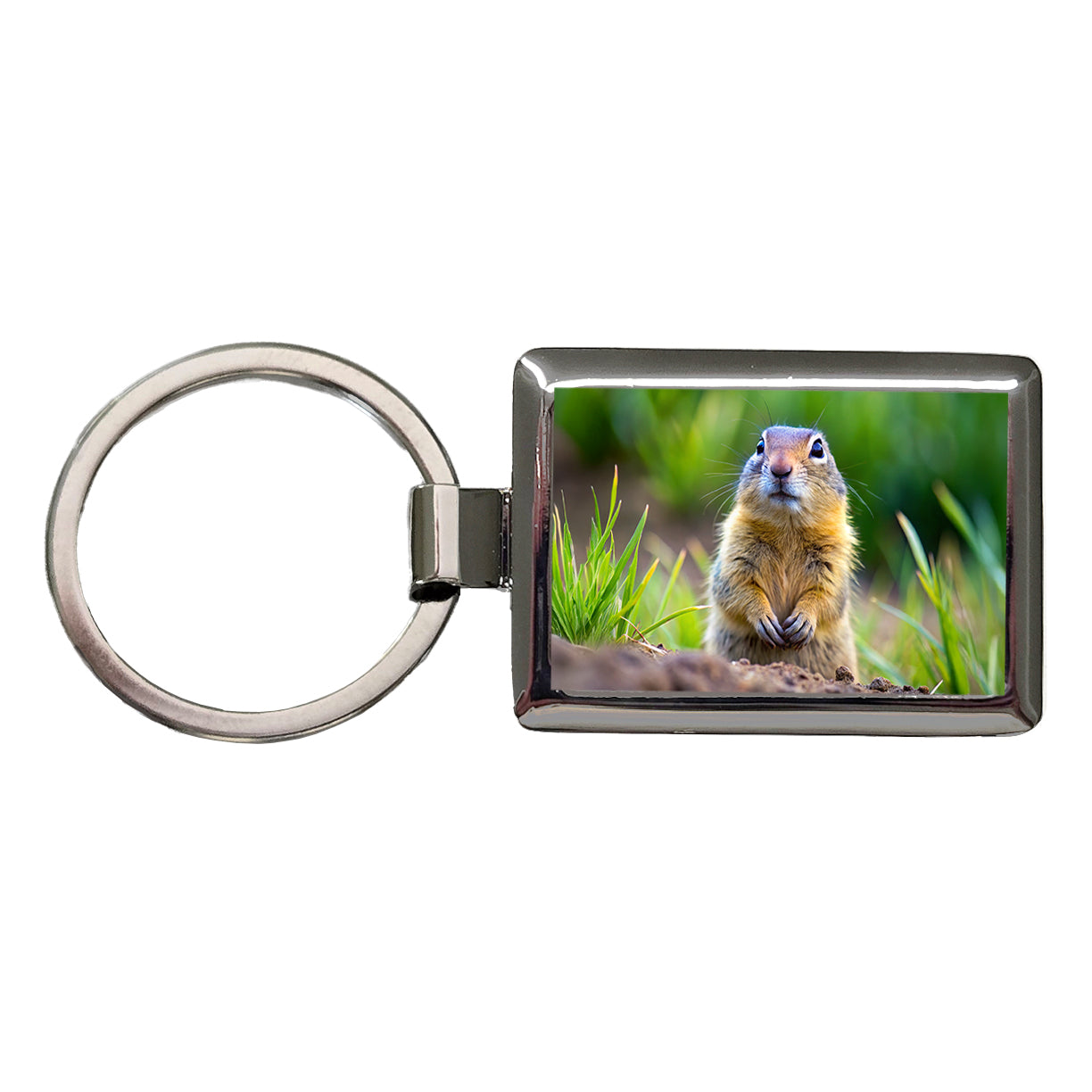 Gopher Rectangle Metal Keychain