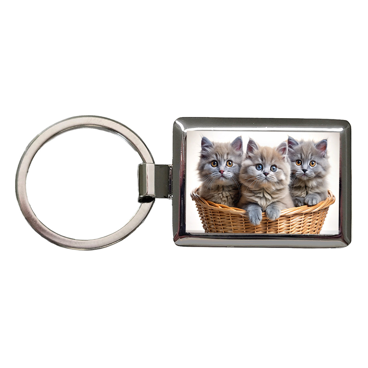 Gray British Longhair Kittens In A Basket Rectangle Metal Keychain