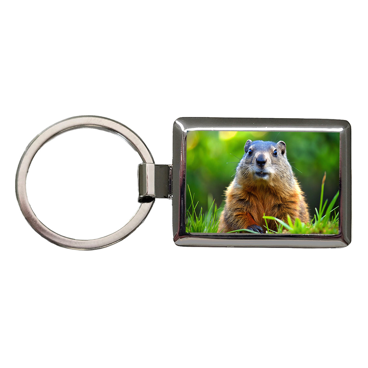 Groundhog Rectangle Metal Keychain