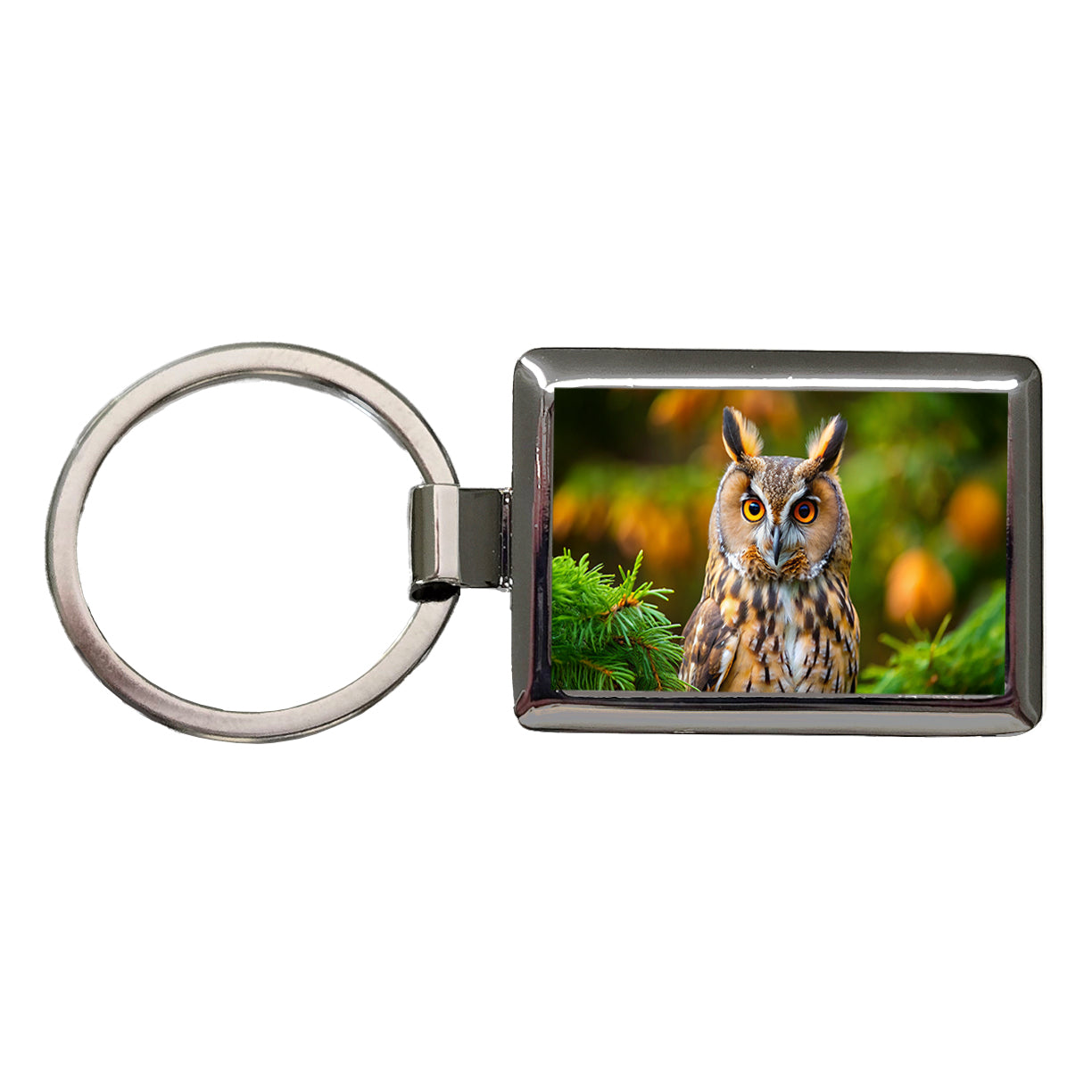 Long-Eared Owl Raptor Bird Of Prey Rectangle Metal Keychain
