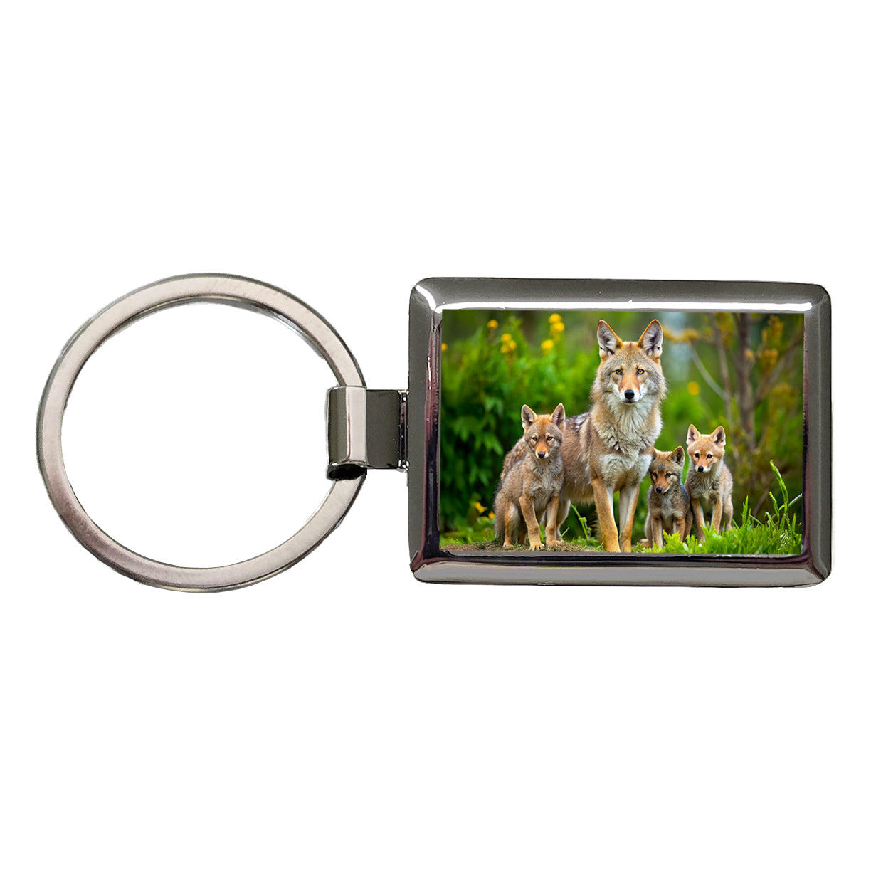 Mother Coyote And Pups Rectangle Metal Keychain