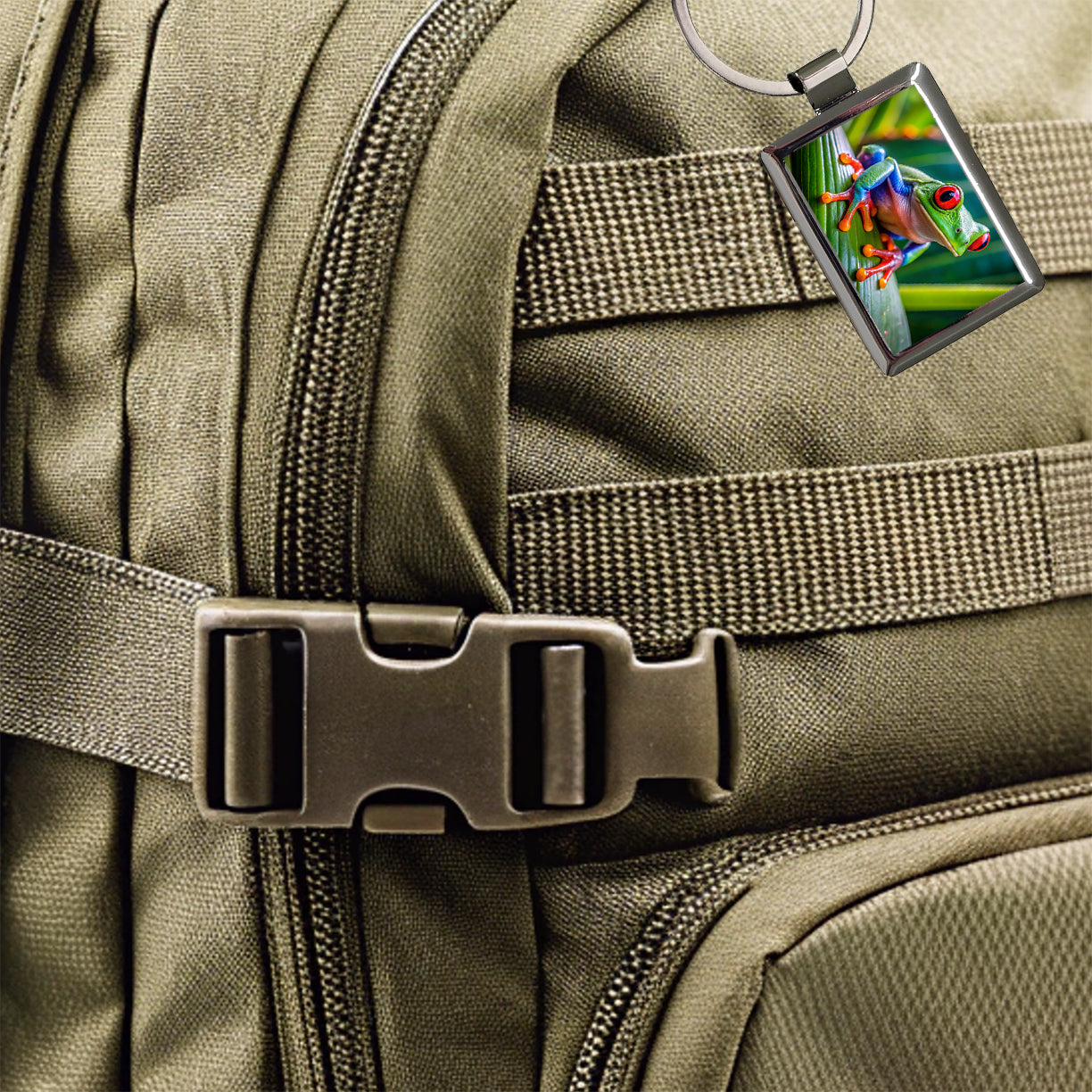 Red Eyed Tree Frog Rectangle Metal Keychain
