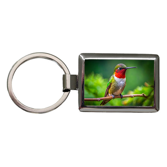 Ruby Throated Hummingbird Backyard Bird Rectangle Metal Keychain