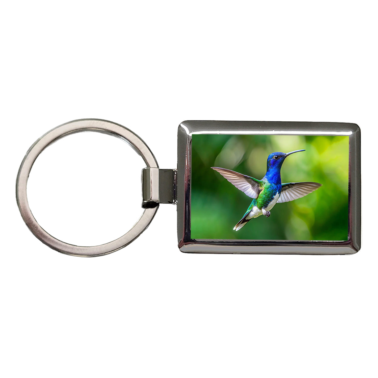 White Necked Jacobin Hummingbird Backyard Bird Rectangle Metal Keychain