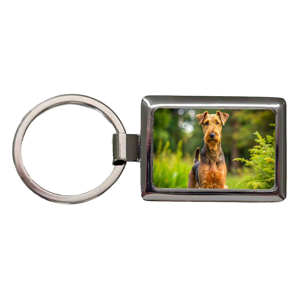 Airedale Terrier Dog Photo Rectangle Metal Keychain