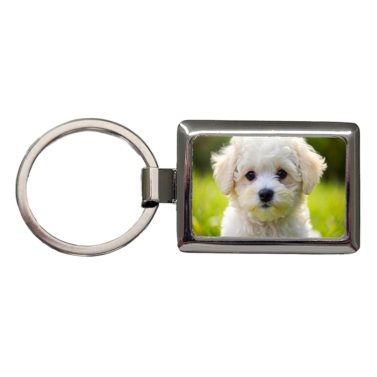 Bichon Frise Dog Puppy Photo Rectangle Metal Keychain