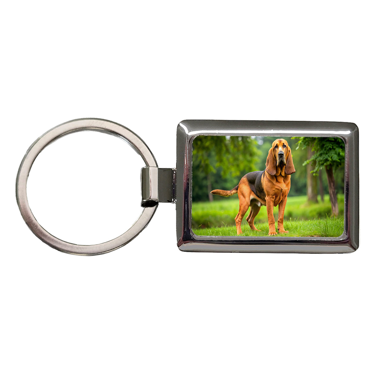 Bloodhound Dog Photo Rectangle Metal Keychain