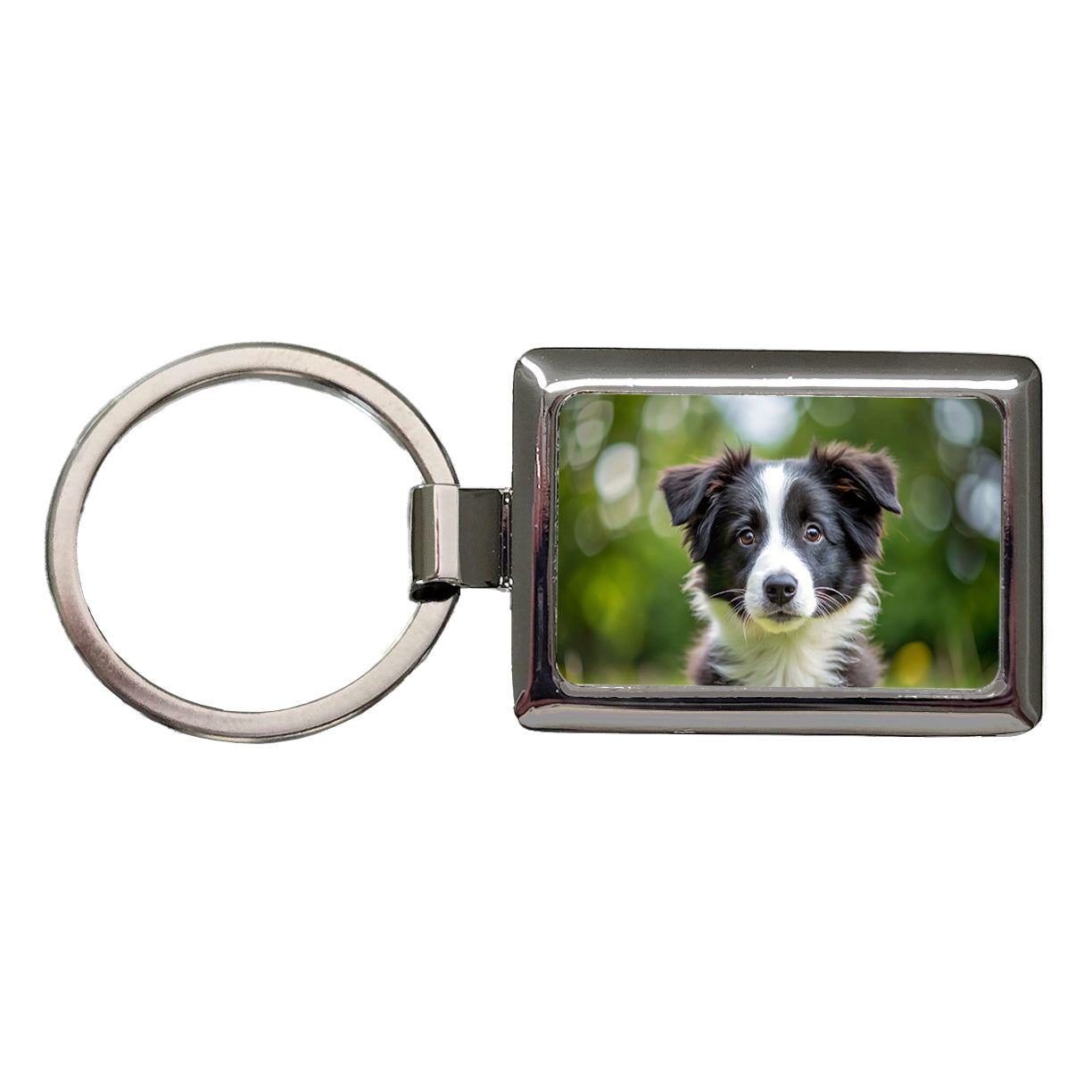 Border Collie Dog Puppy Photo Rectangle Metal Keychain