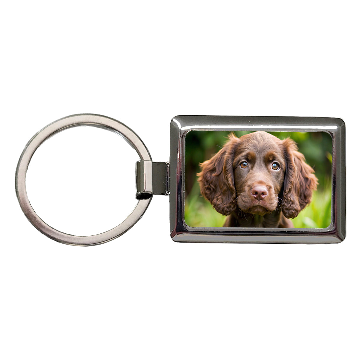 Boykin Spaniel Dog Puppy Photo Rectangle Metal Keychain