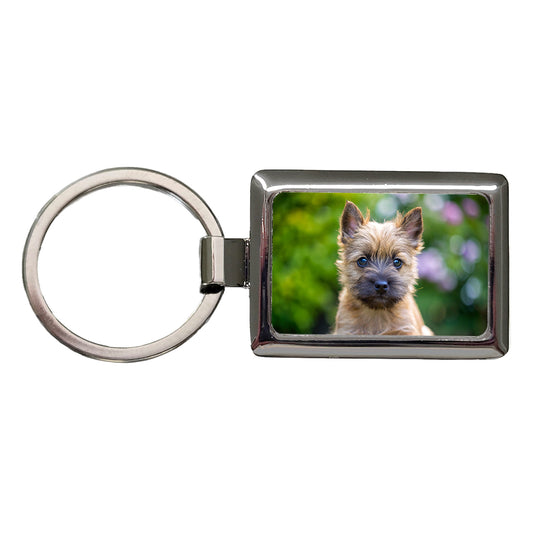 Cairn Terrier Dog Puppy Photo Rectangle Metal Keychain