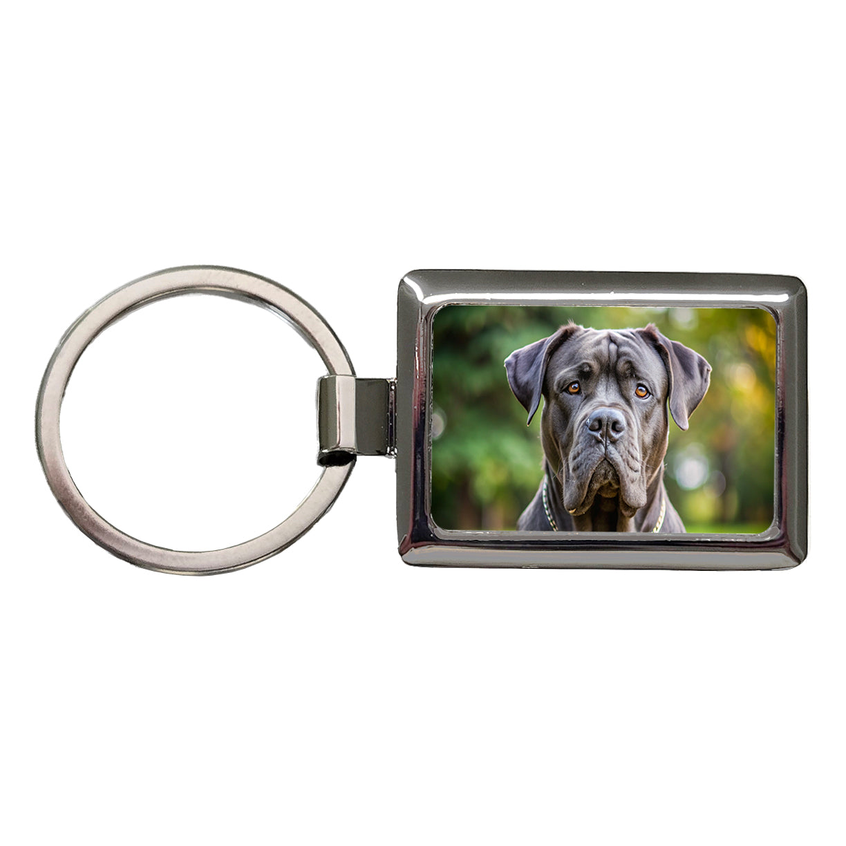 Cane Corso Dog Photo Rectangle Metal Keychain