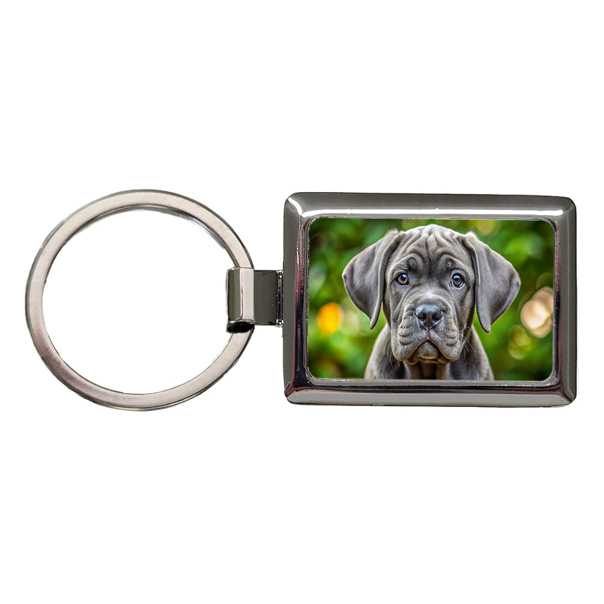 Cane Corso Dog Puppy Photo Rectangle Metal Keychain