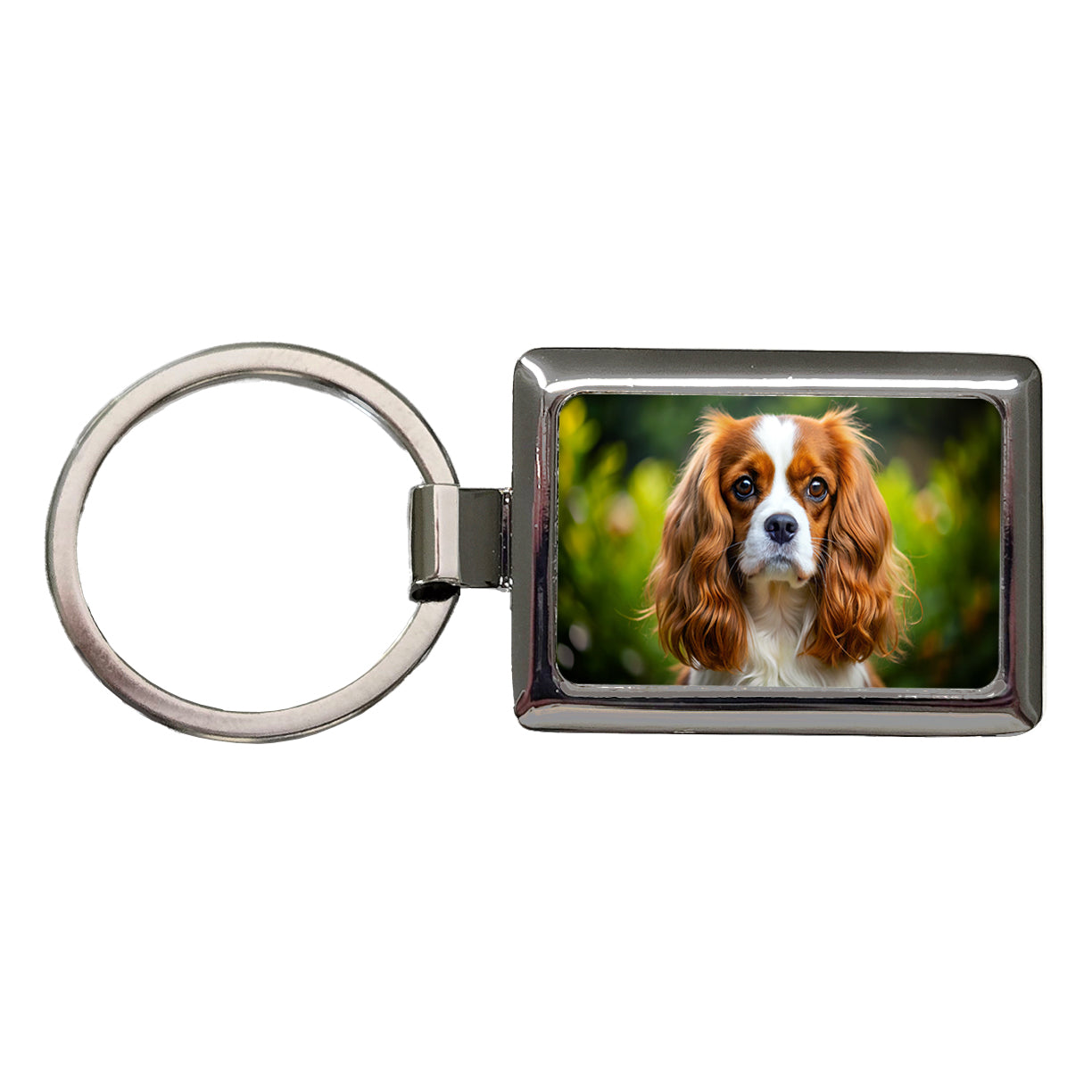 Cavalier King Charles Spaniel Dog Photo Rectangle Metal Keychain