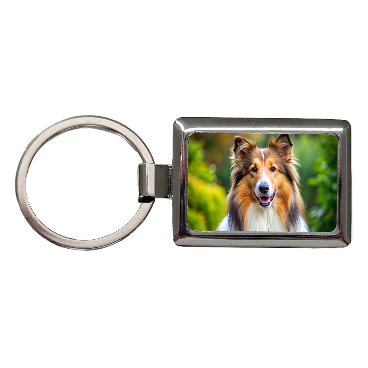 Collie Dog Photo Rectangle Metal Keychain