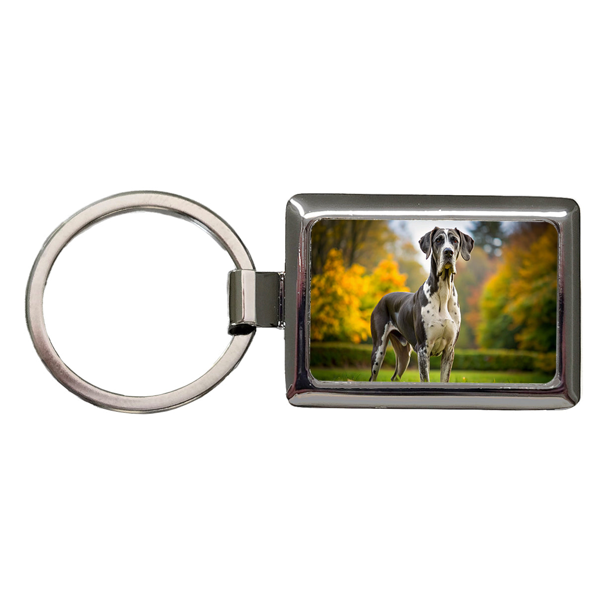 Great Dane Dog Photo Rectangle Metal Keychain