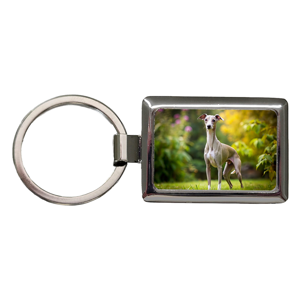 Italian Greyhound Dog Photo Rectangle Metal Keychain