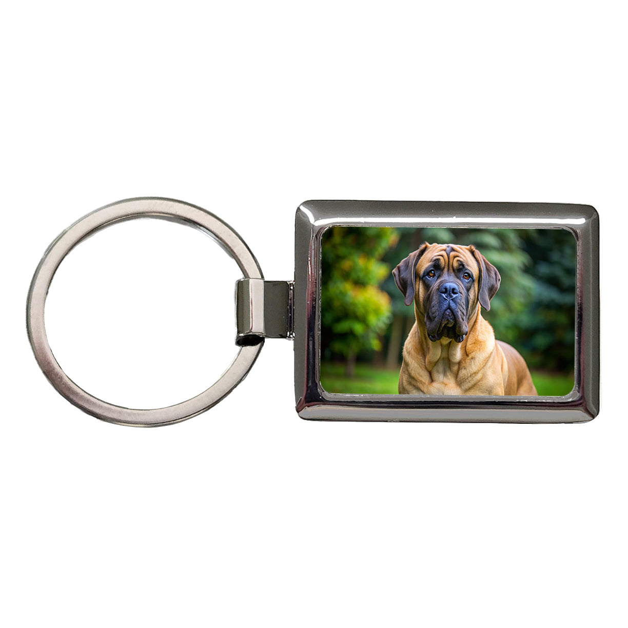 Mastiff Dog Photo Rectangle Metal Keychain