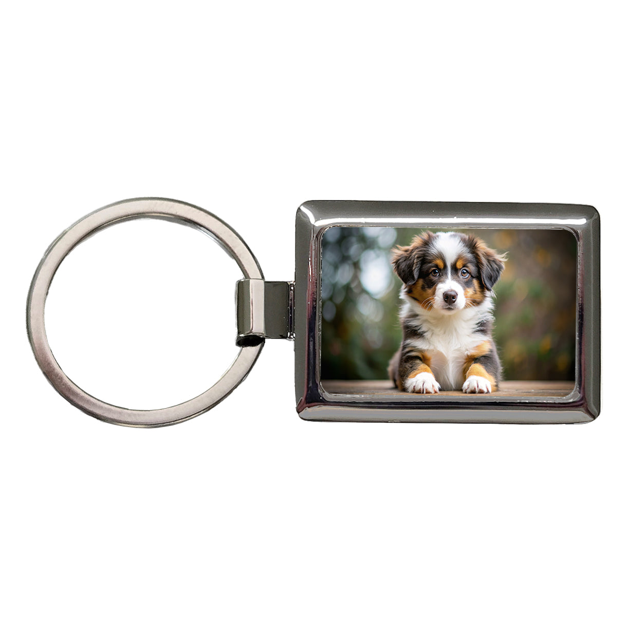 Miniature American Shepherd Dog Puppy Photo Rectangle Metal Keychain