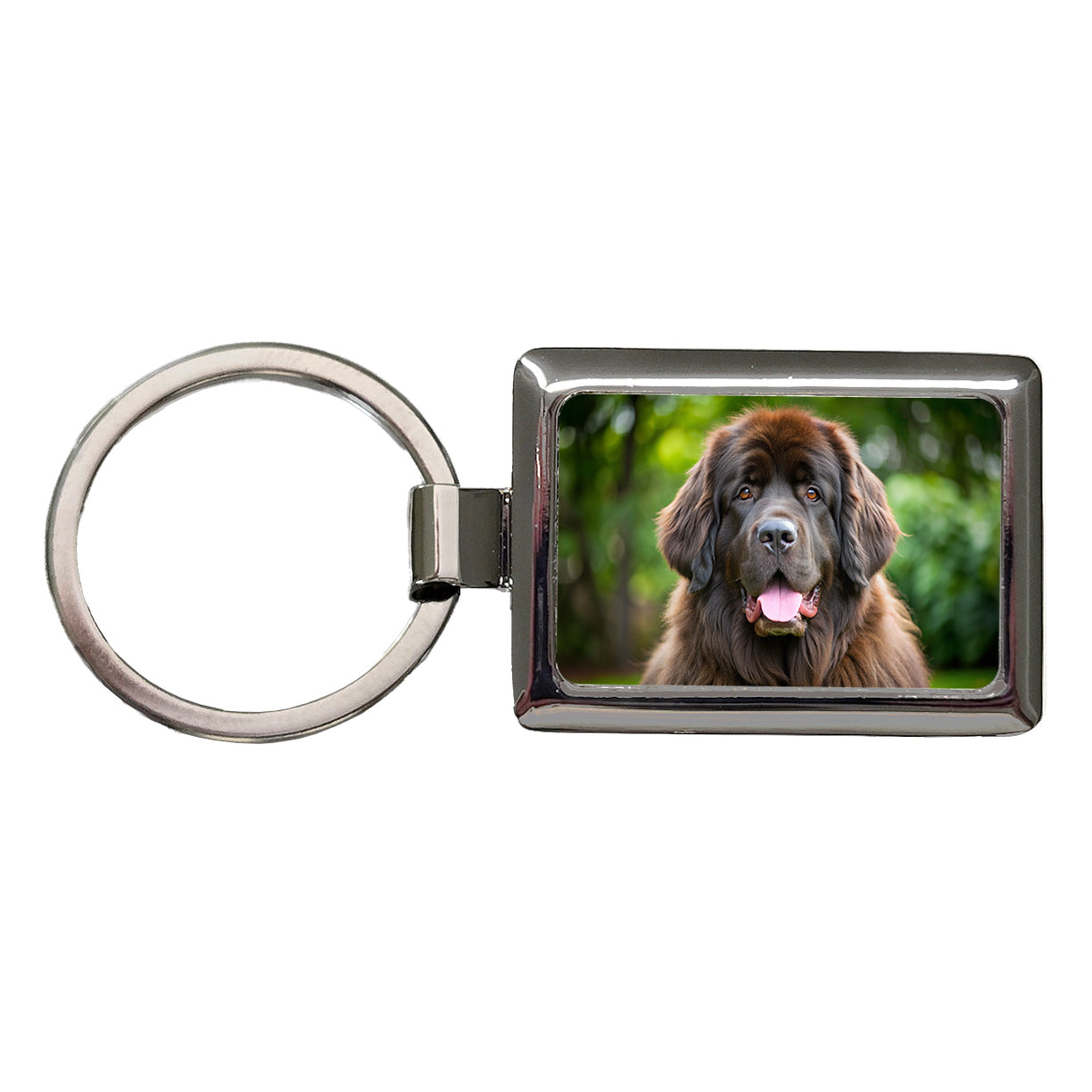 Newfoundland Dog Photo Rectangle Metal Keychain